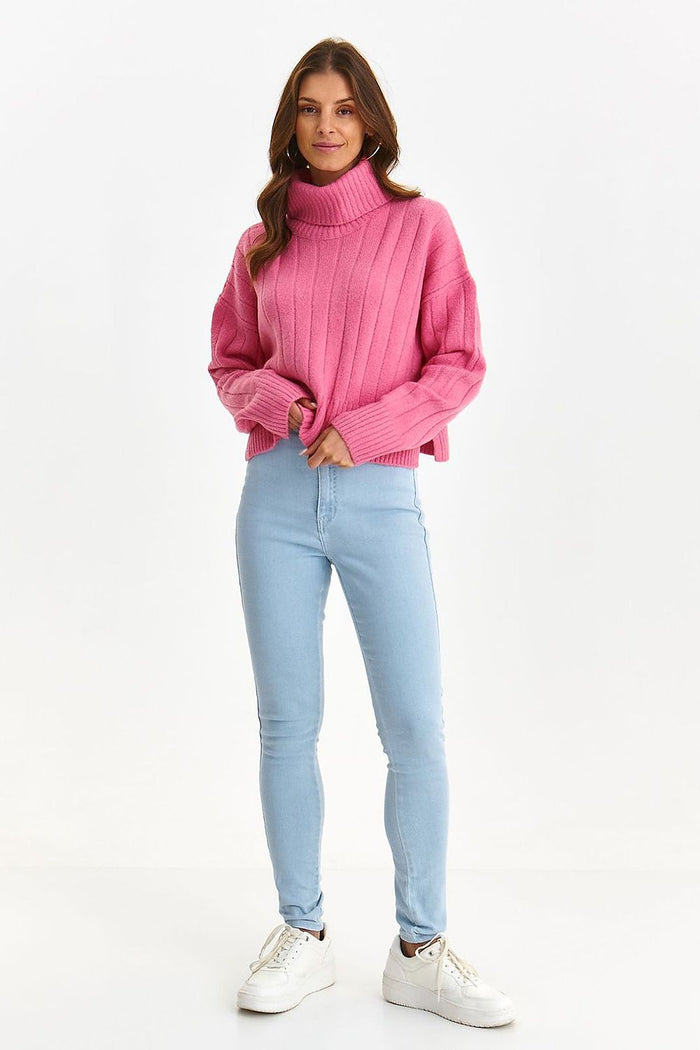 Turtleneck model 187656 Top Secret