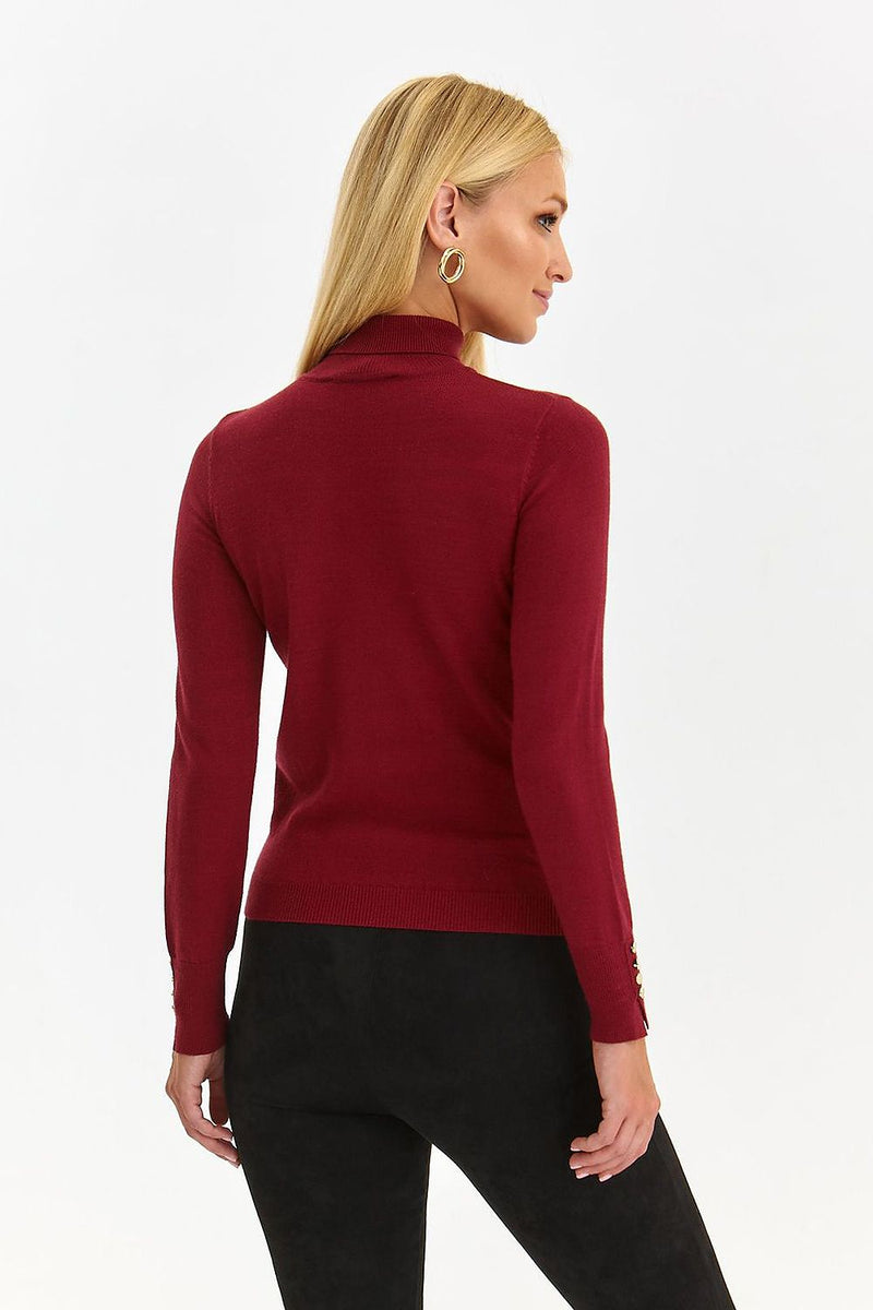 Turtleneck model 187980 Top Secret