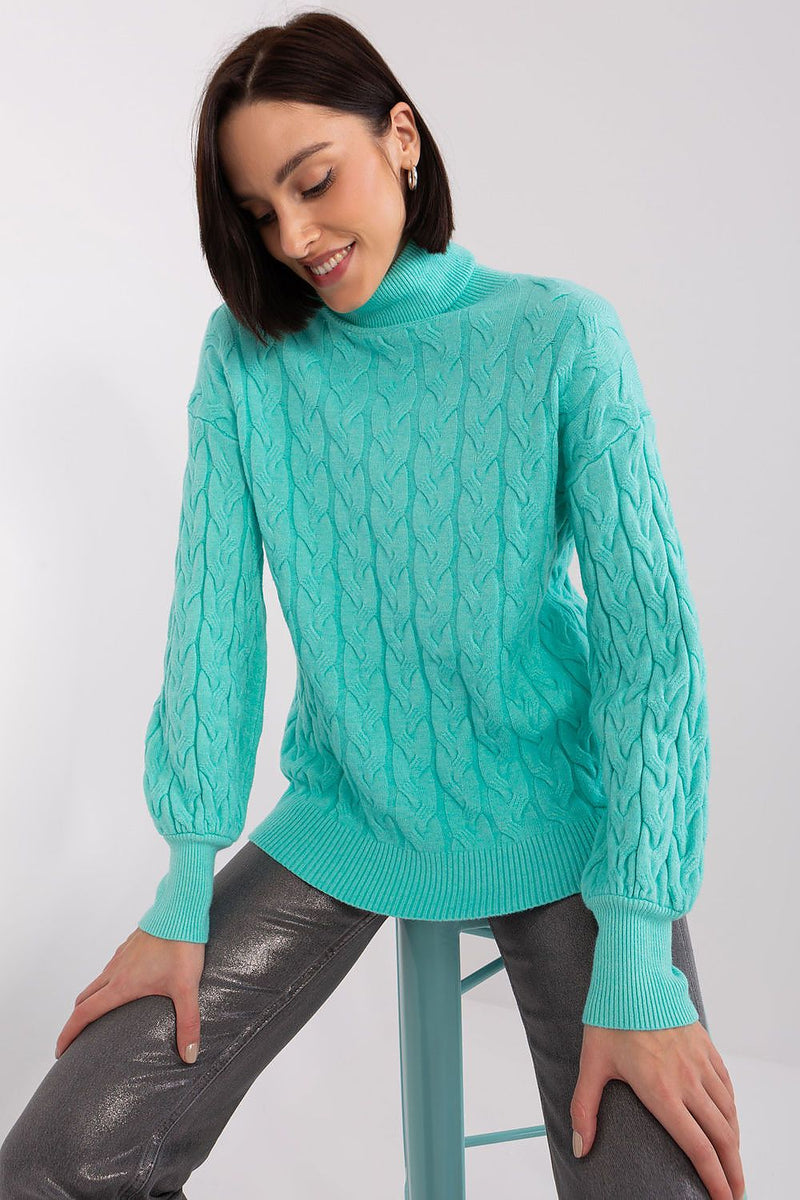 Turtleneck model 188296 AT