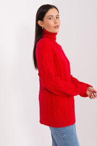 Turtleneck model 188303 AT