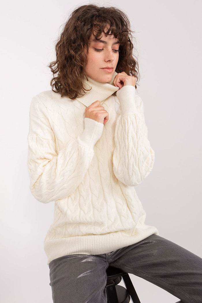 Turtleneck model 188310 AT