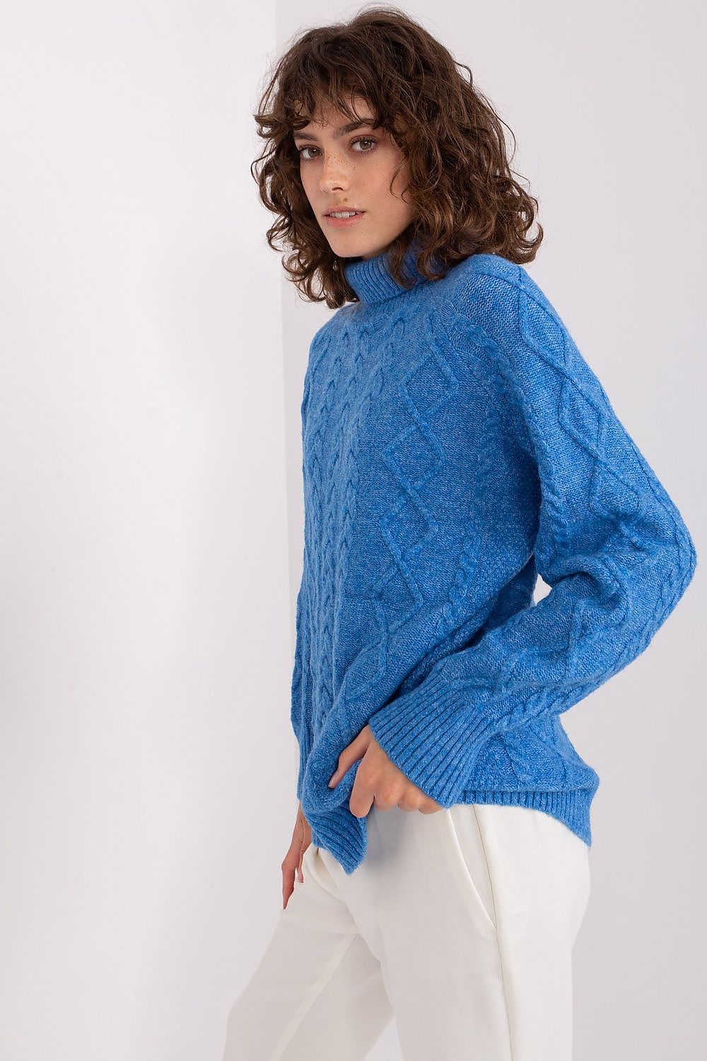 Turtleneck model 189230 AT