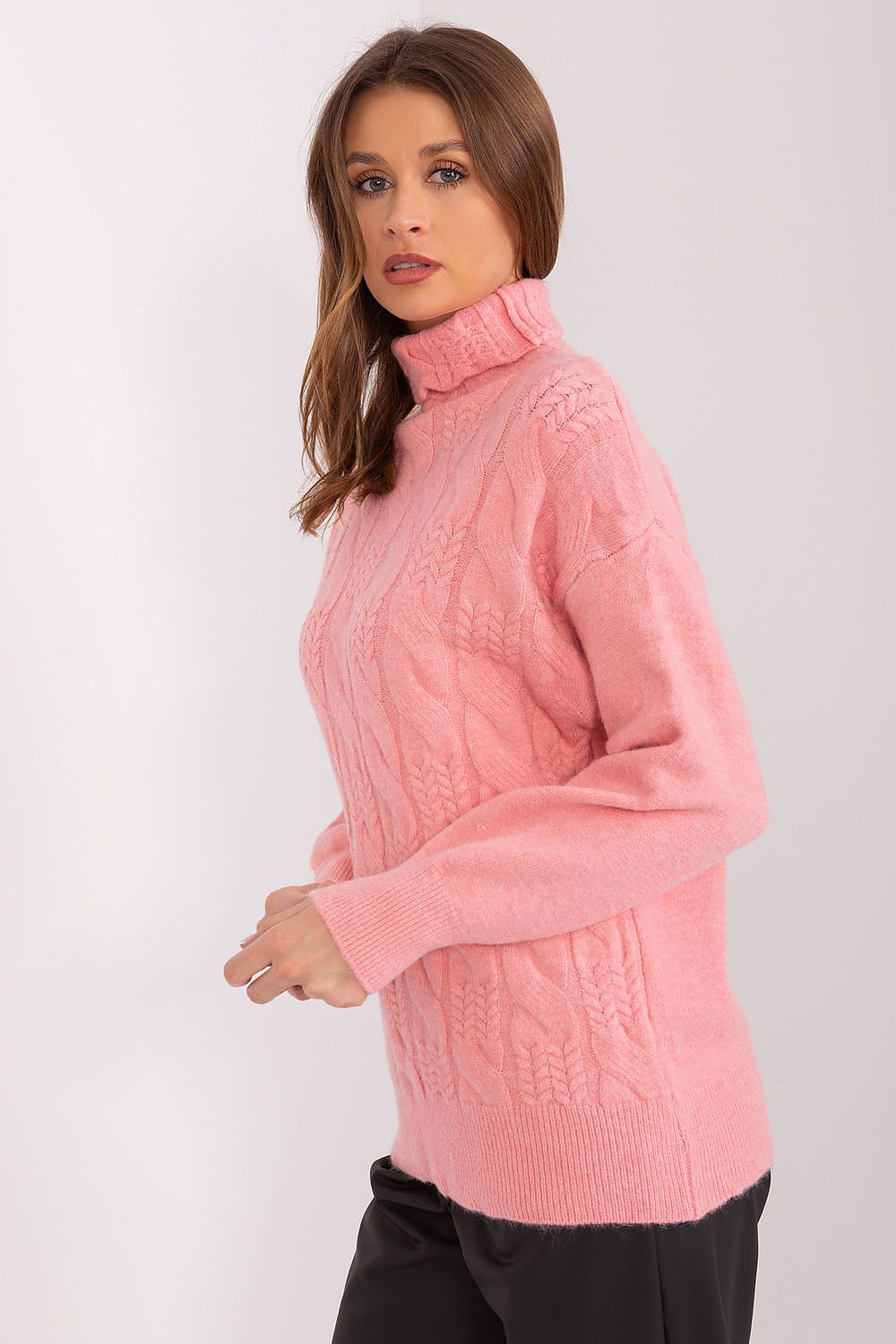 Turtleneck model 189886 AT