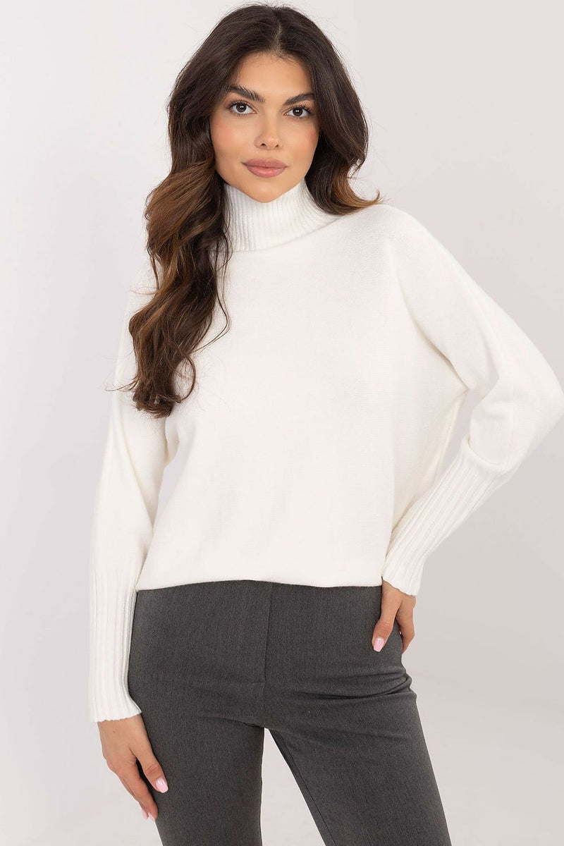 Turtleneck model 203023 BFG