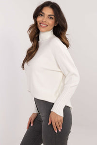 Turtleneck model 203023 BFG