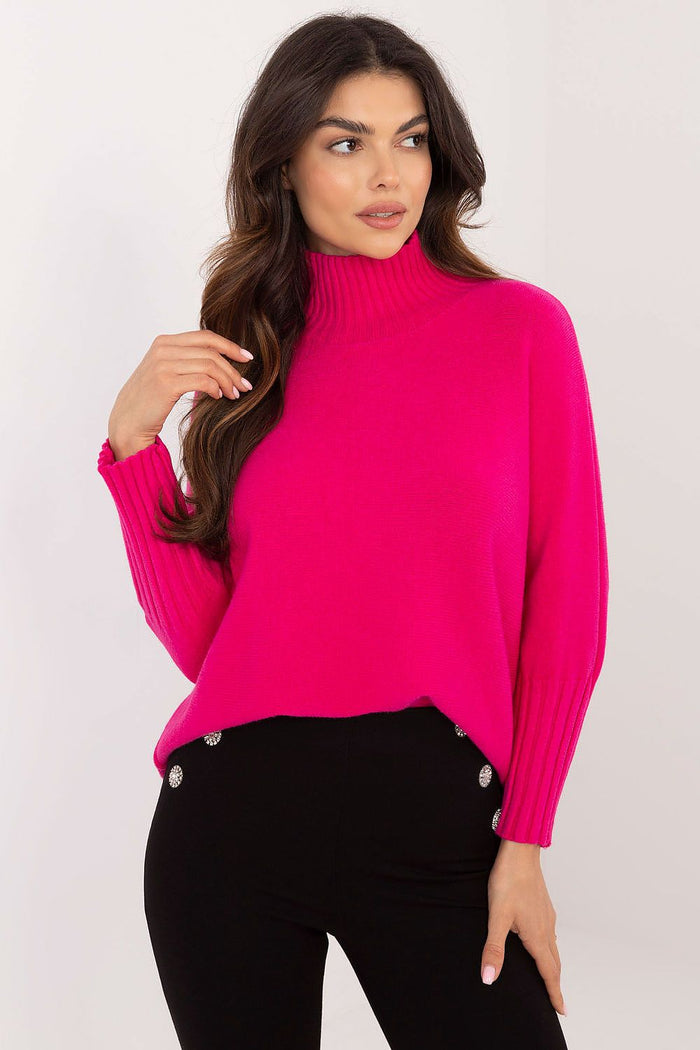 Turtleneck model 203024 BFG