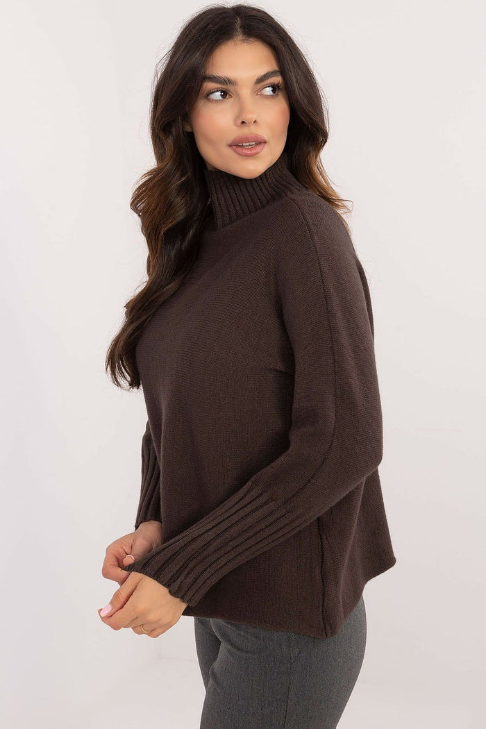 Turtleneck model 203025 BFG