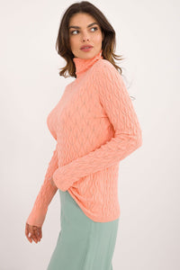 Turtleneck model 203189 AT