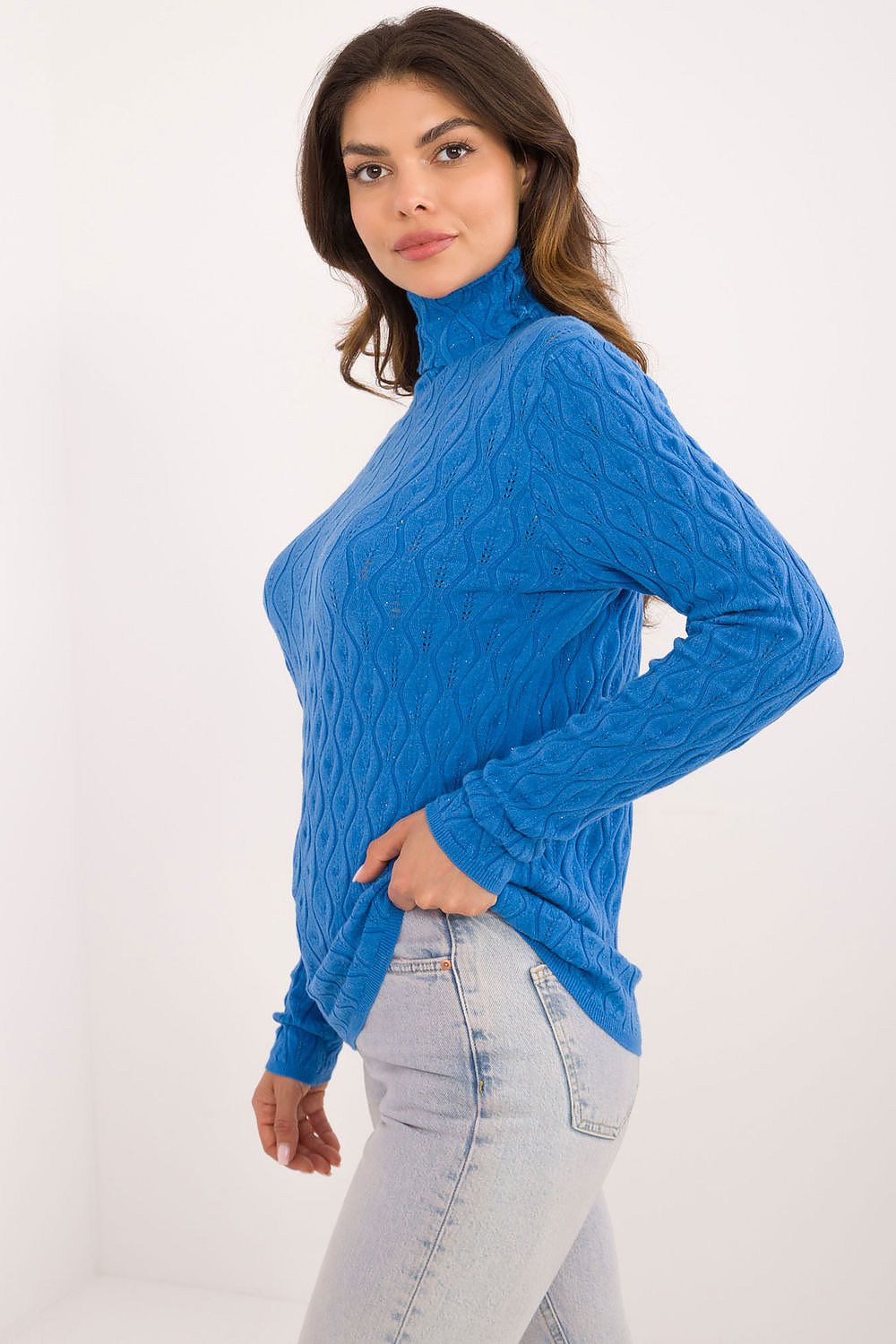 Turtleneck model 203192 AT