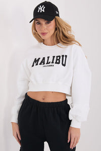  Sweatshirt model 224923 Factory Price 